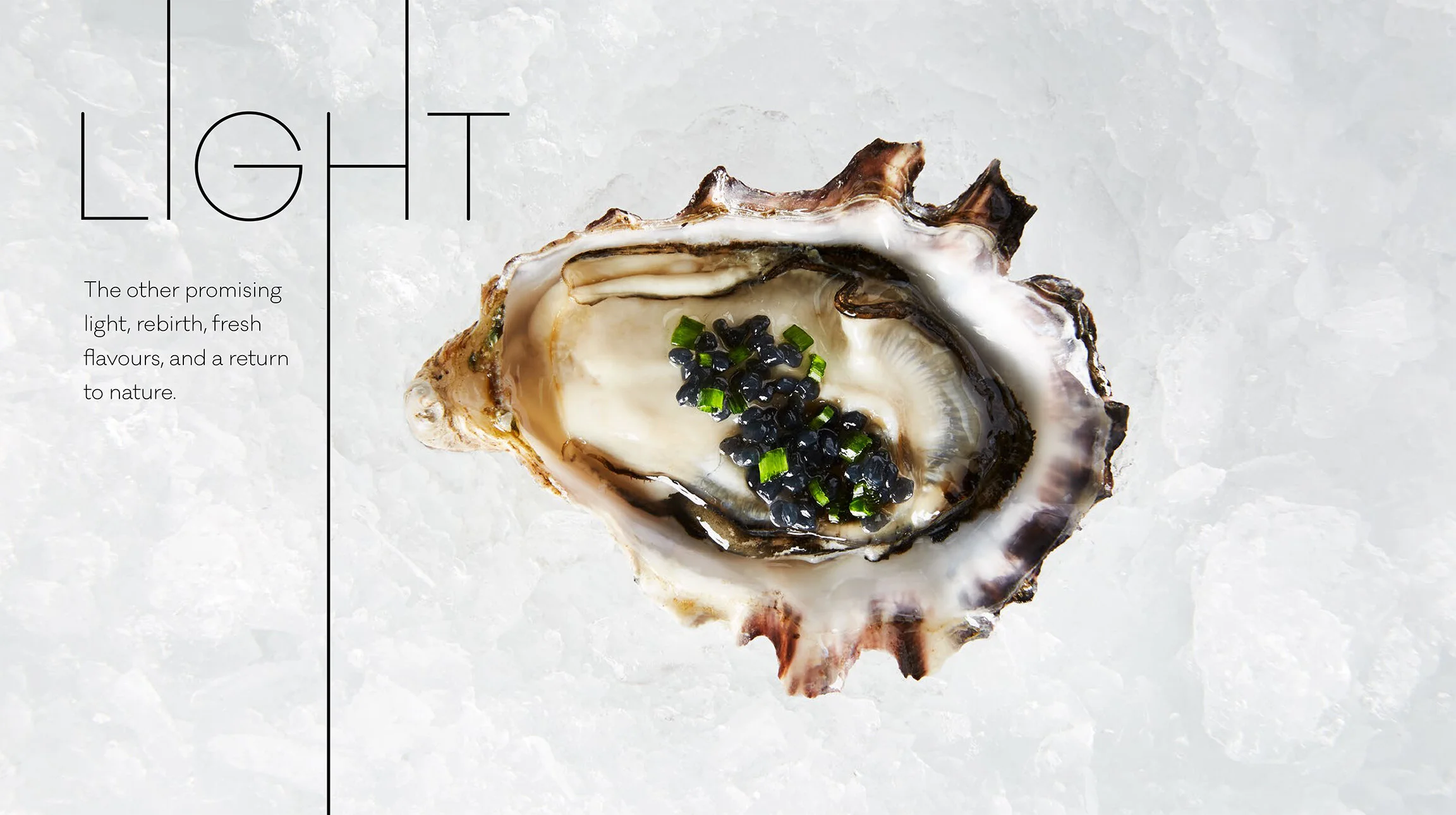 OysterFlow_2019_09.jpg
