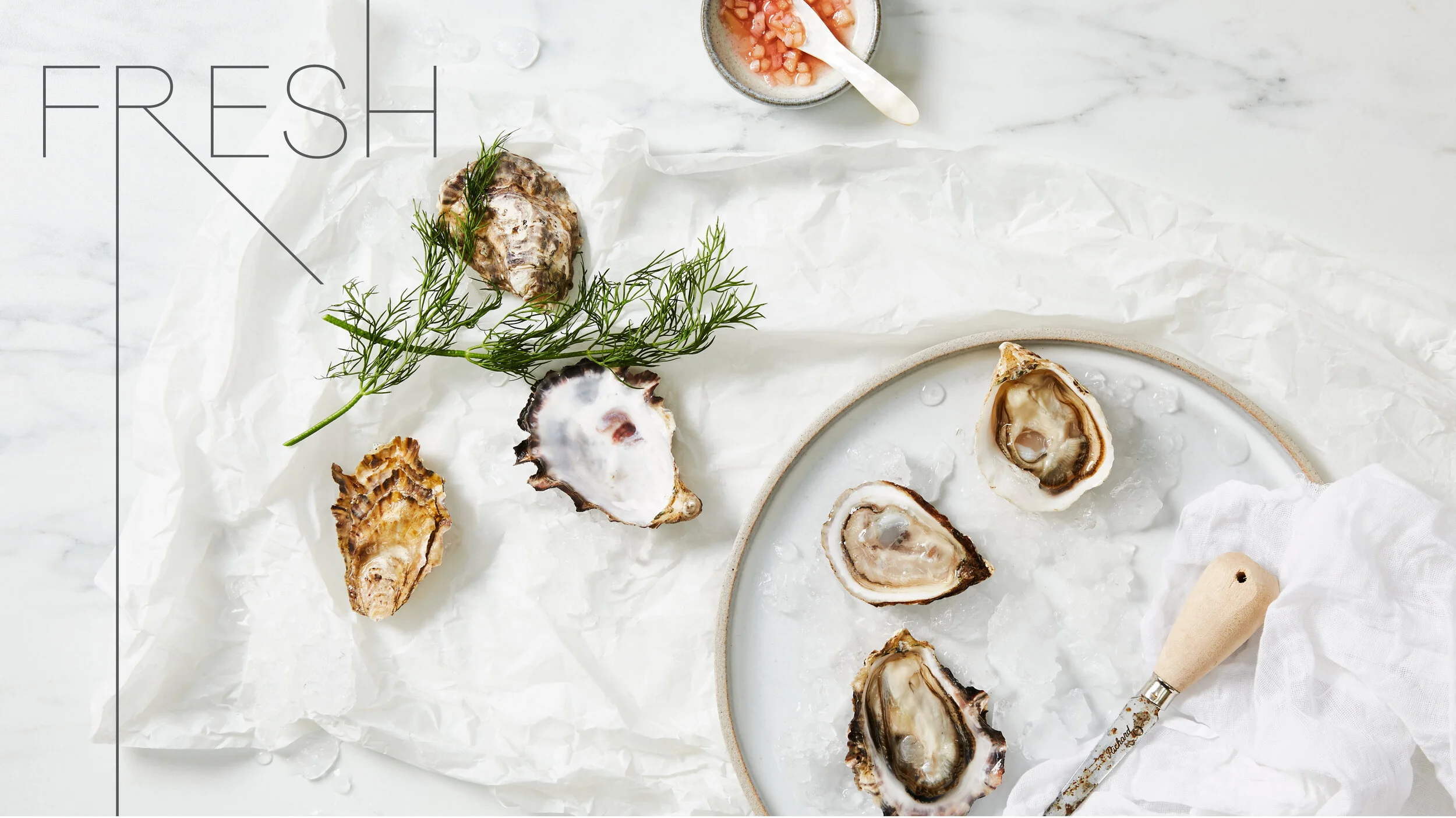 Oyster_11_FreshThumbnail.jpg