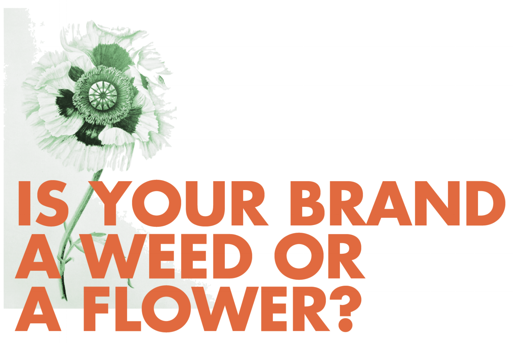 Screen Shot 2018-05-30 at 9.03.44 AM.png