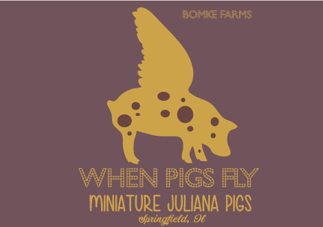 when-pigs-fly-web.png