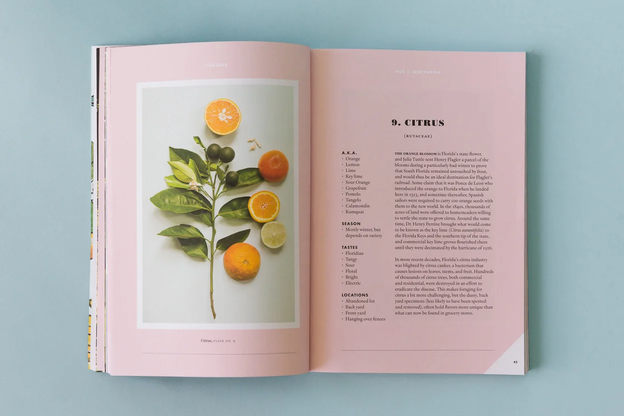 Forager-a-subjective-guide-5805.jpg