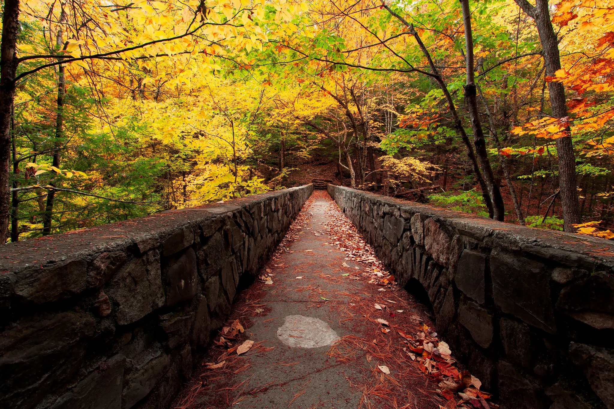 Maine Landscape Photography Workshop Fall Foliage