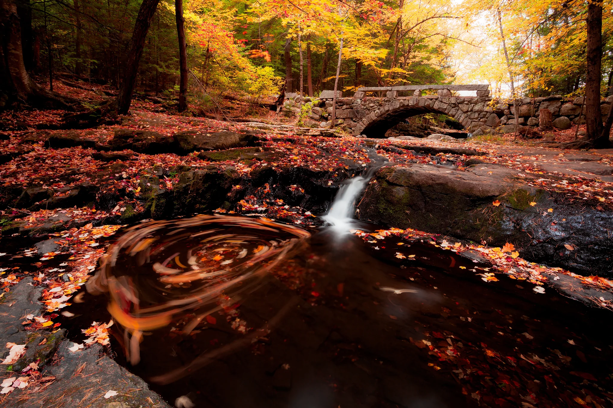 Maine Landscape Photography Workshop Fall Foliage