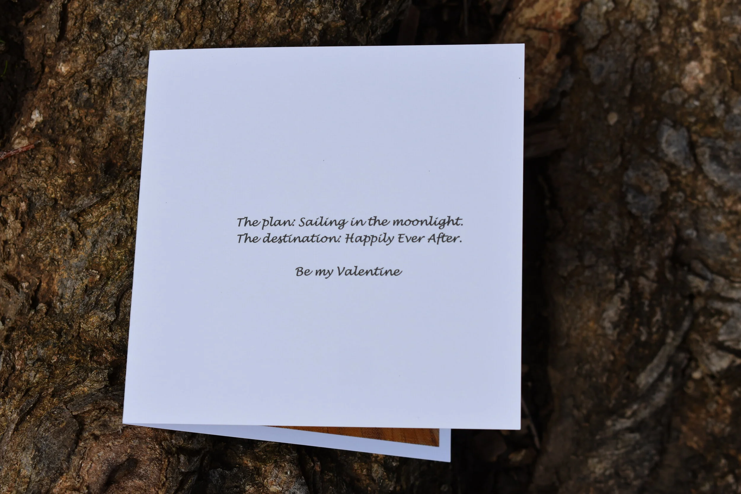 DSC_0004sailing valentine verse.JPG