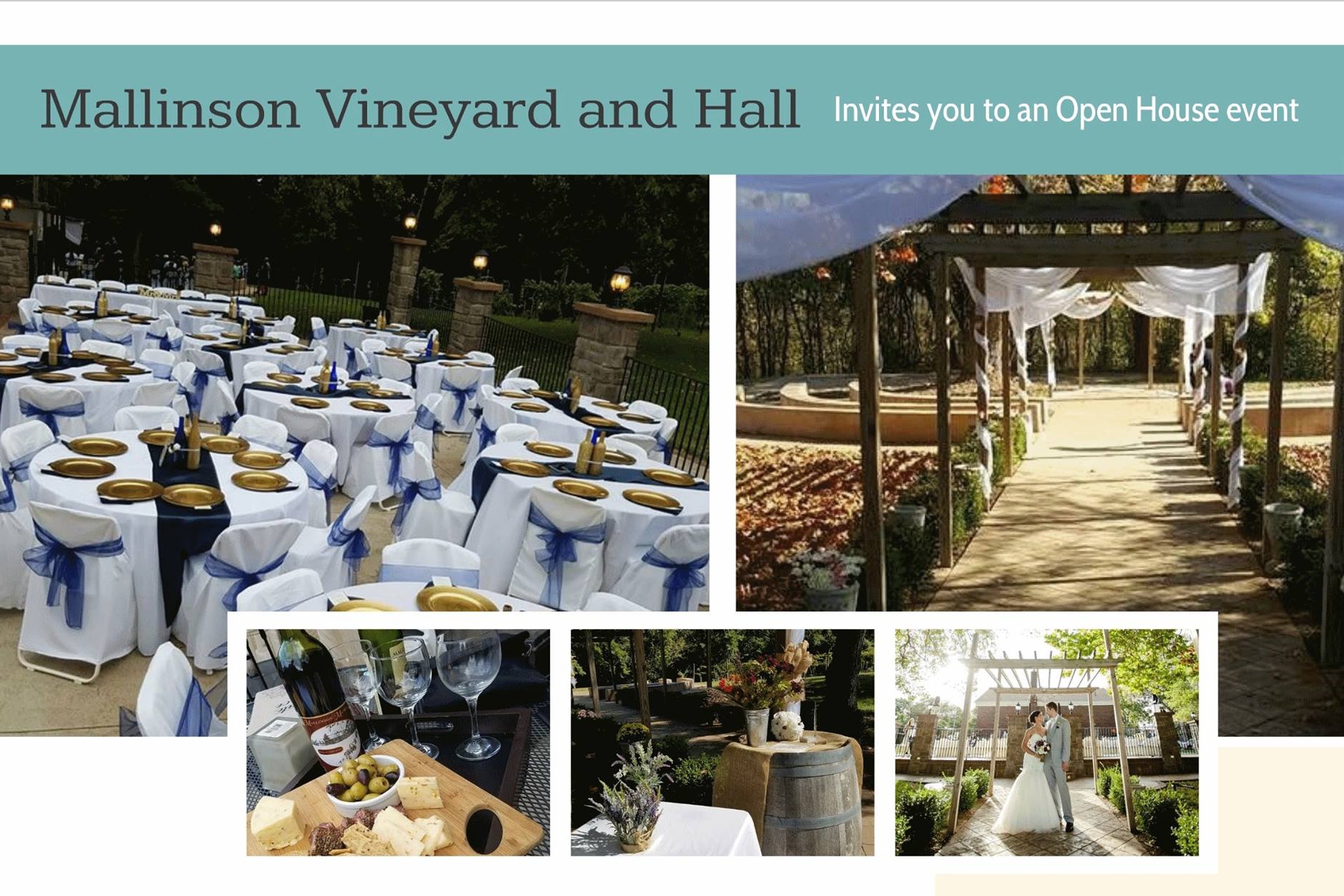 Mallinson+Vineyard+and+Hall+Open+House+-+Sugar+Creek+MO+-+Independence+MO.jpg