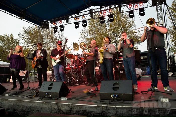 Shades of Gray - Live Music at Mallinson Vineyard and Hall in May 2019.jpg