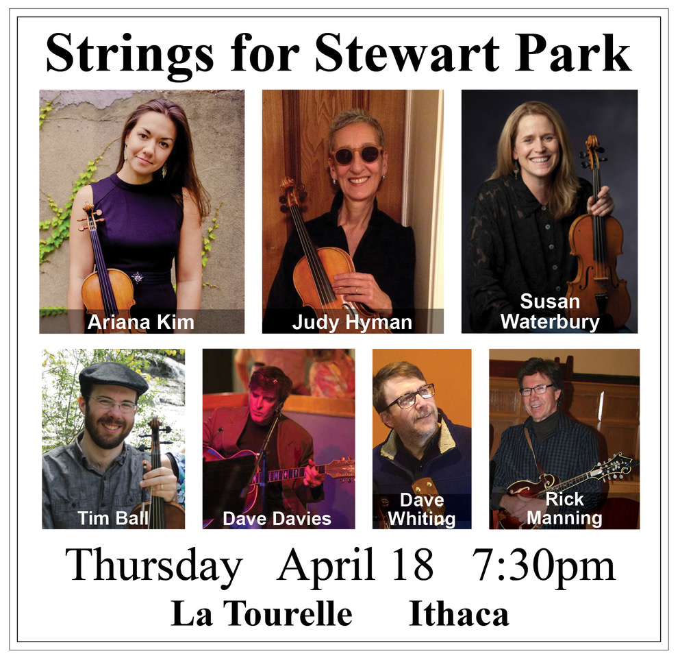 Strings for Stewart Park — Friends of Stewart Park