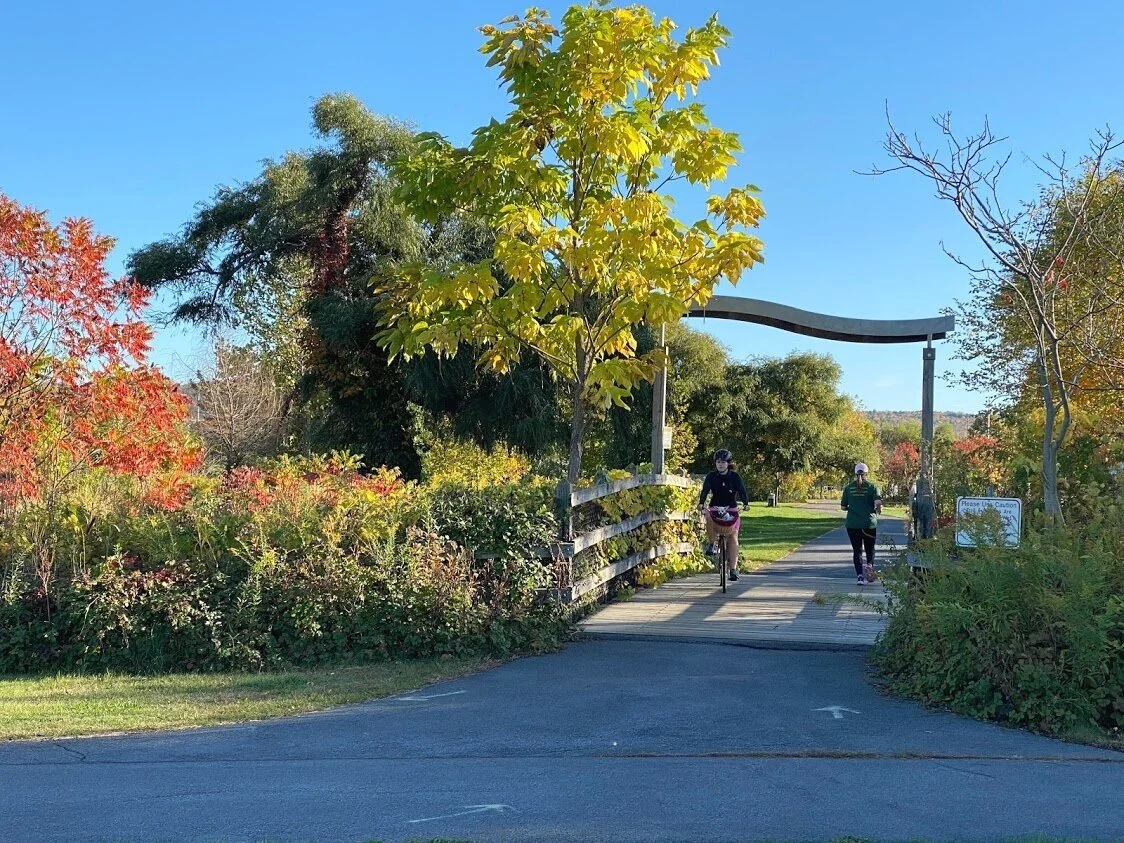 friends of stewart park