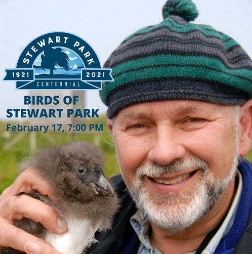 Birds of Stewart Park