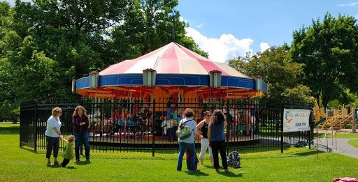 carousel with new fence.jpg