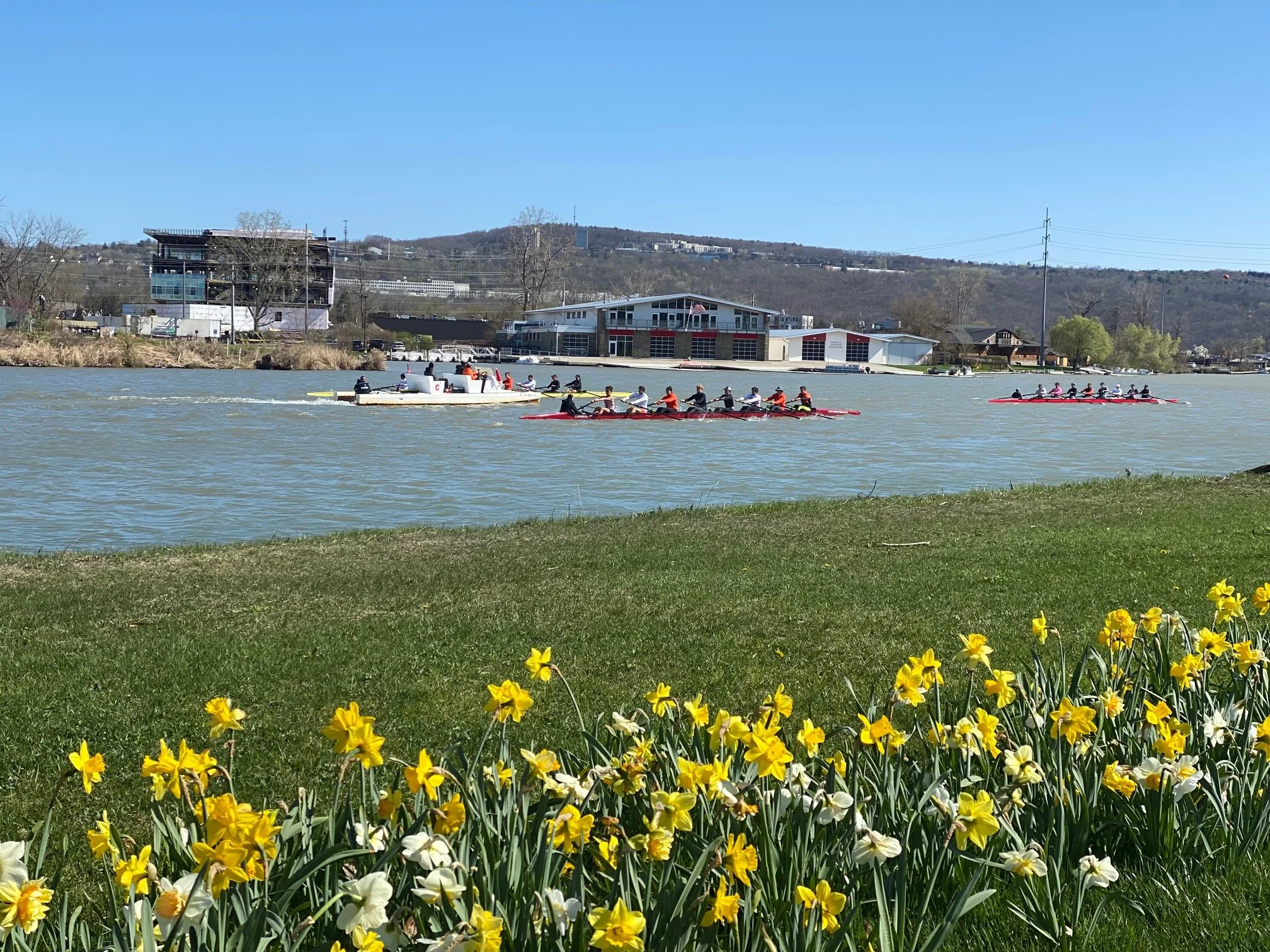 Spring Happenings in Stewart Park &amp; on the CWT