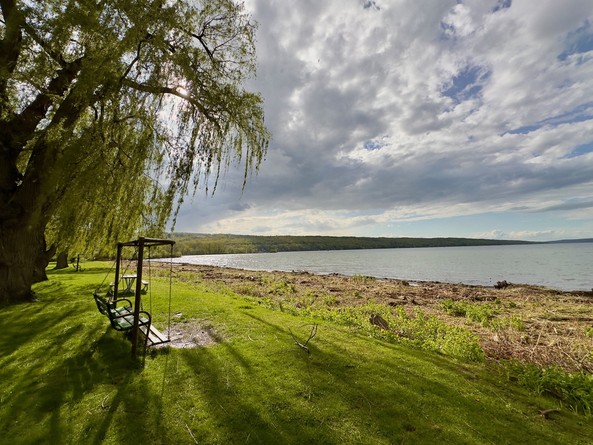 Communication Hiccups, Free Carousel Days and more!