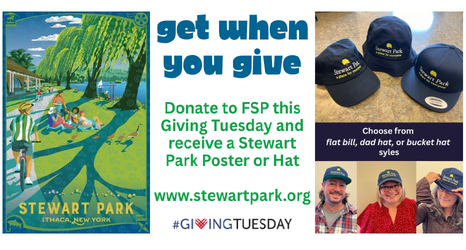Get when you Give