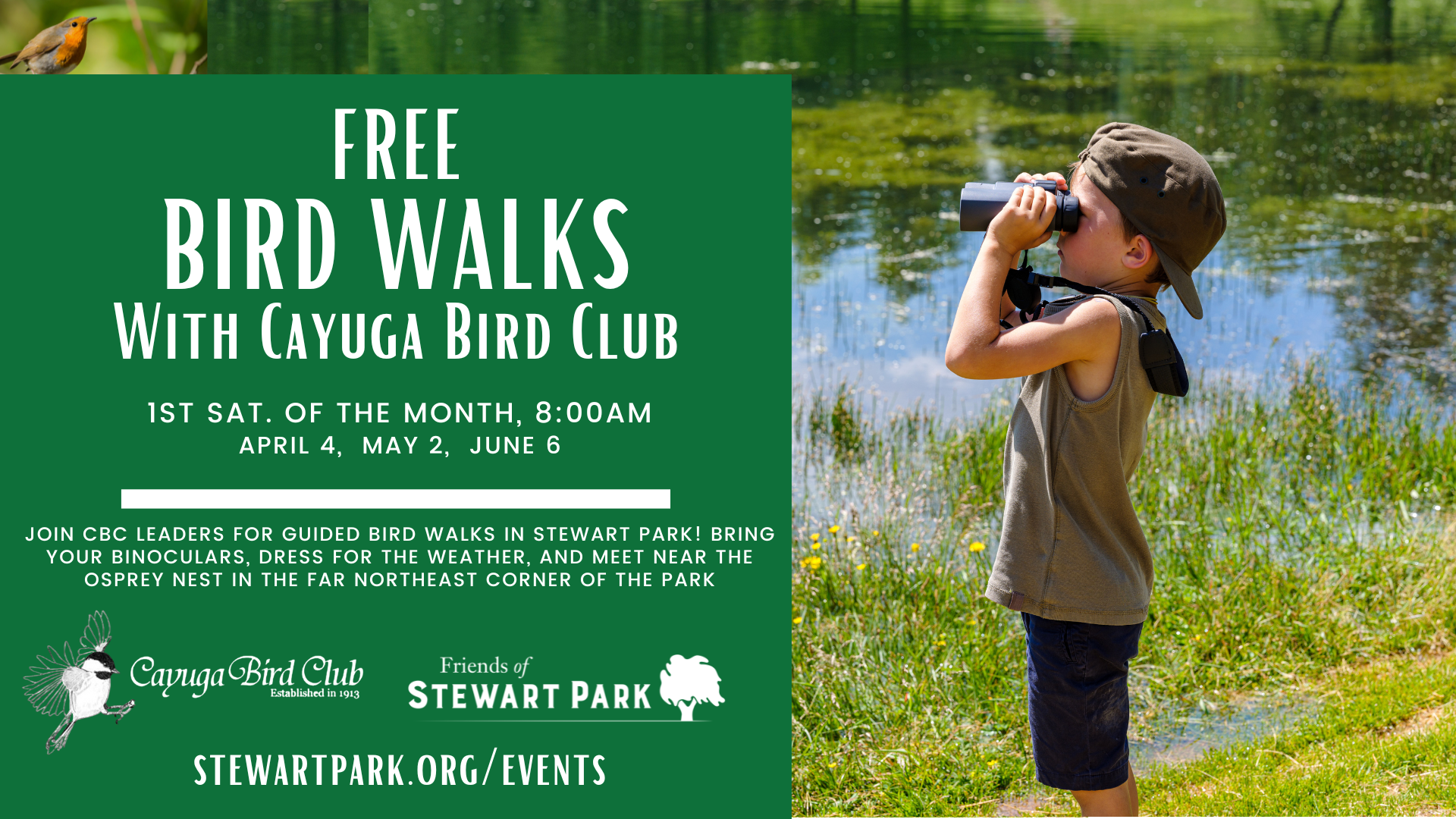 Free Bird Walks with Cayuga Bird Club