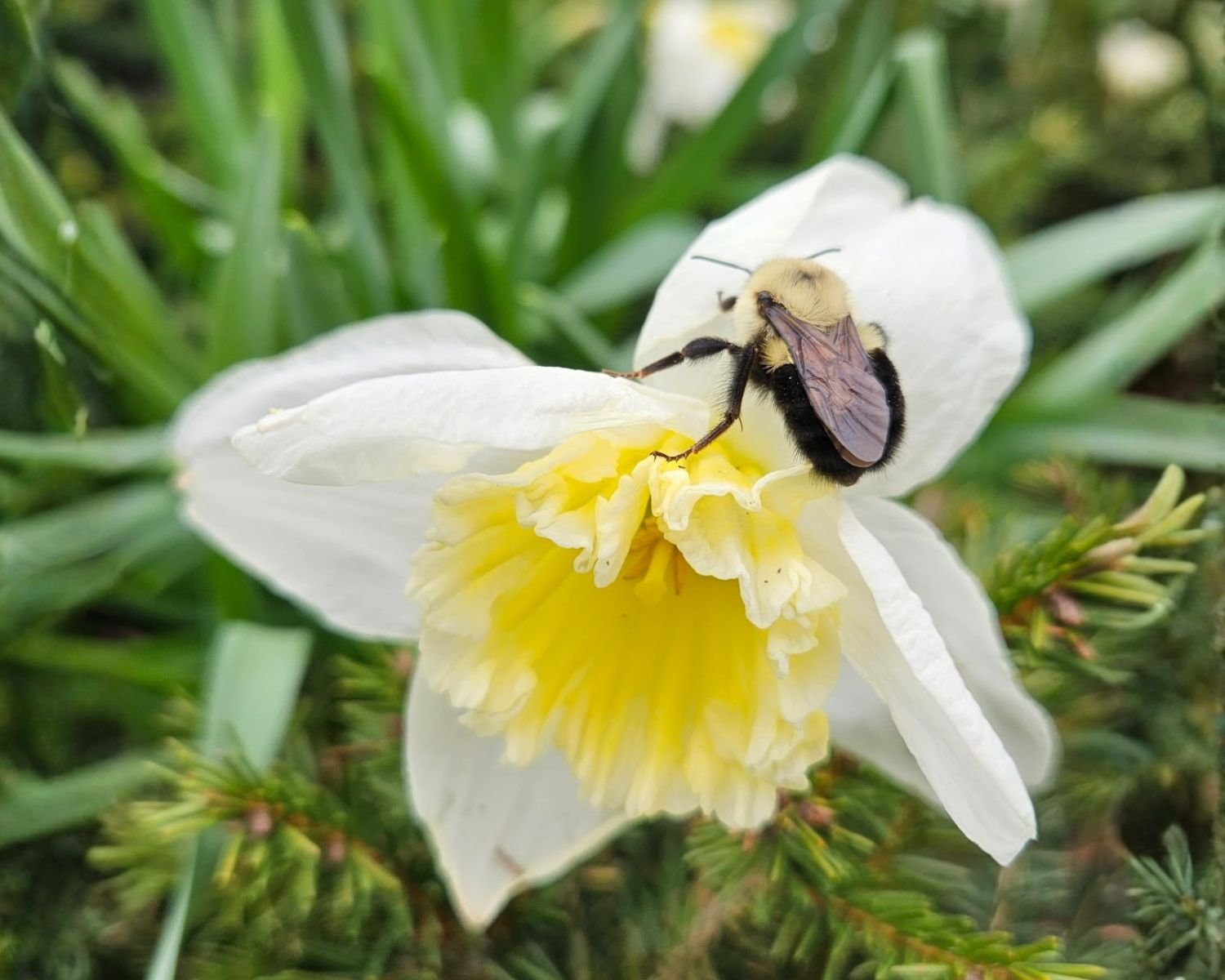 Lots of events this week - the park is buzzing