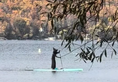 Happy Halloween from Stewart Park