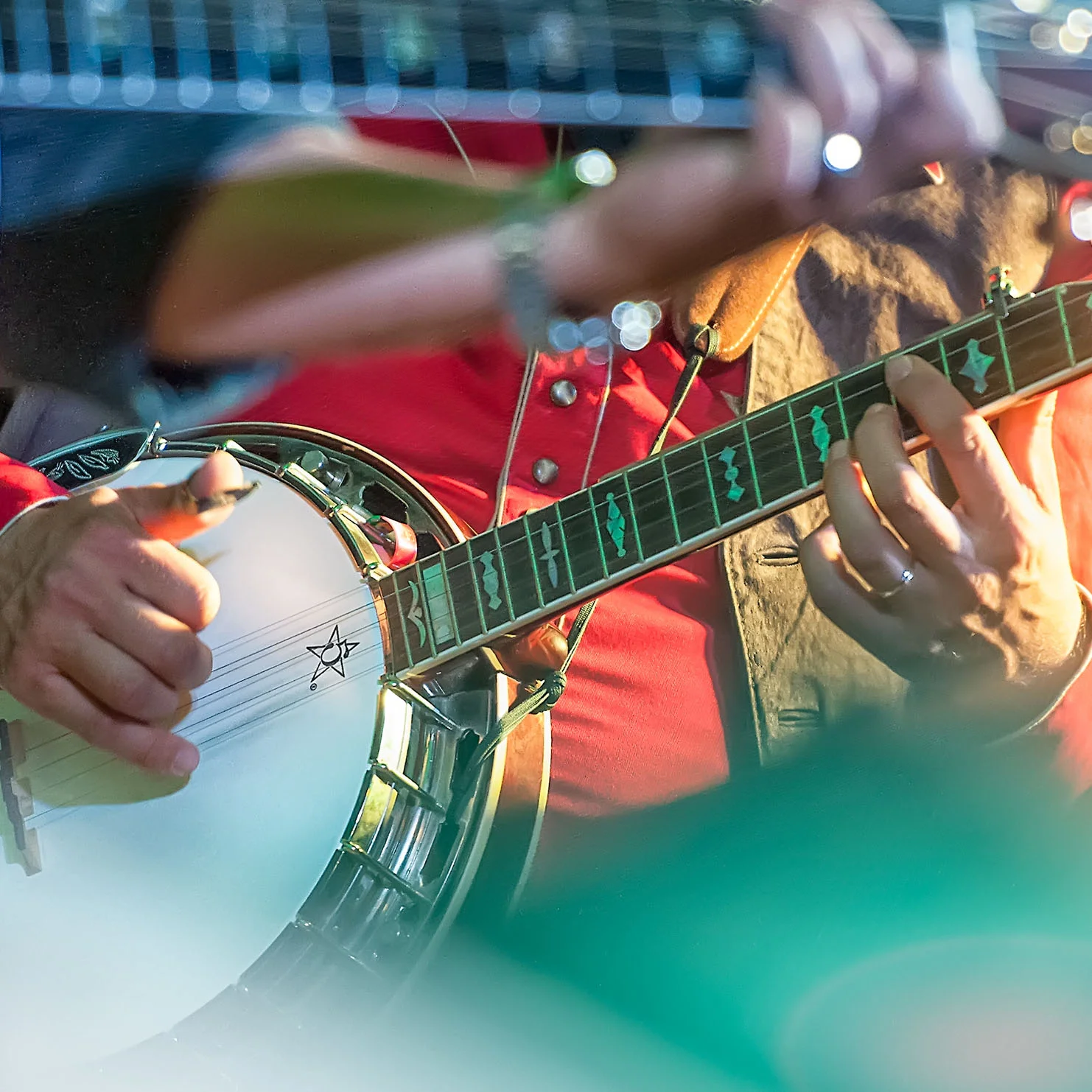 charleston-inside-out-middleton-place-bluegrass.jpg