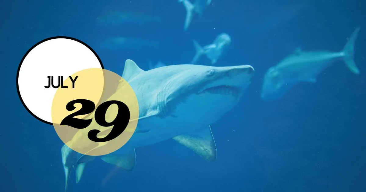 In celebration of Shark Week, join South Carolina Aquarium for Shark Week Trivia Night at the Aquarium on July 29th.