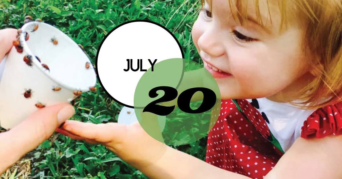 Magnolia Plantation & Gardens invites Lowcountry families to participate in our 6th Annual Ladybug Release! On Saturday, July 20th, 200,000 ladybugs will be released in the gardens to help control other small, more harmful insects such as aphids and scale insects.