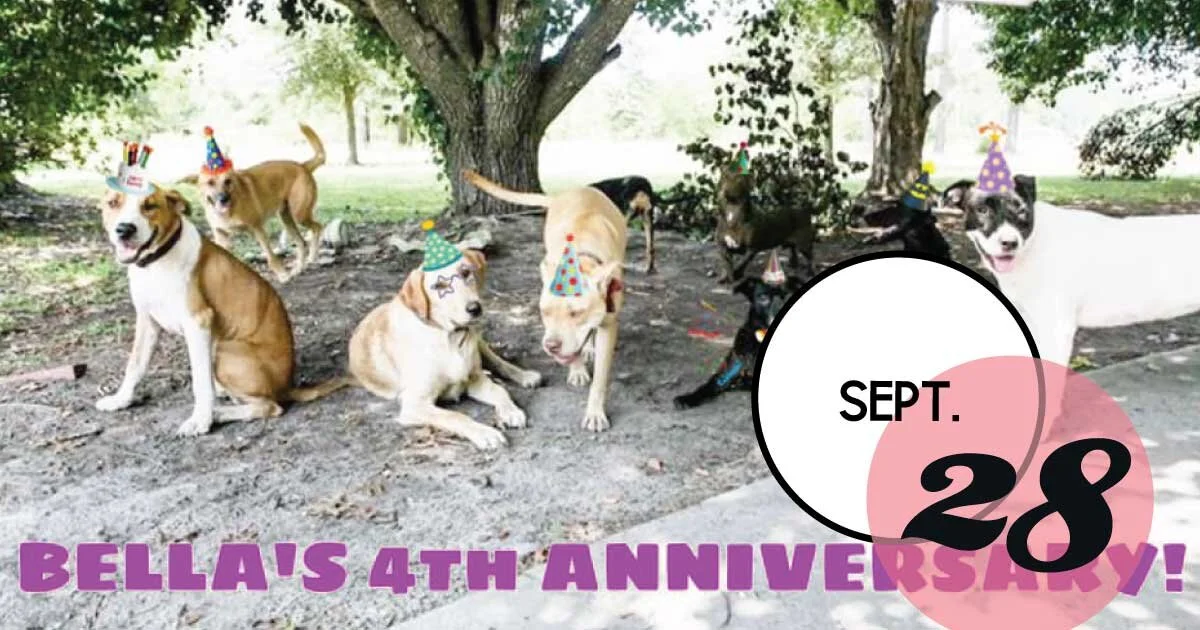 Bella's Tail Waggin' Rescue is having a 4th birthday party and adoption event at Out of Hand in Mount Pleasant! Shop, adopt a dog and sign-up for the raffle.