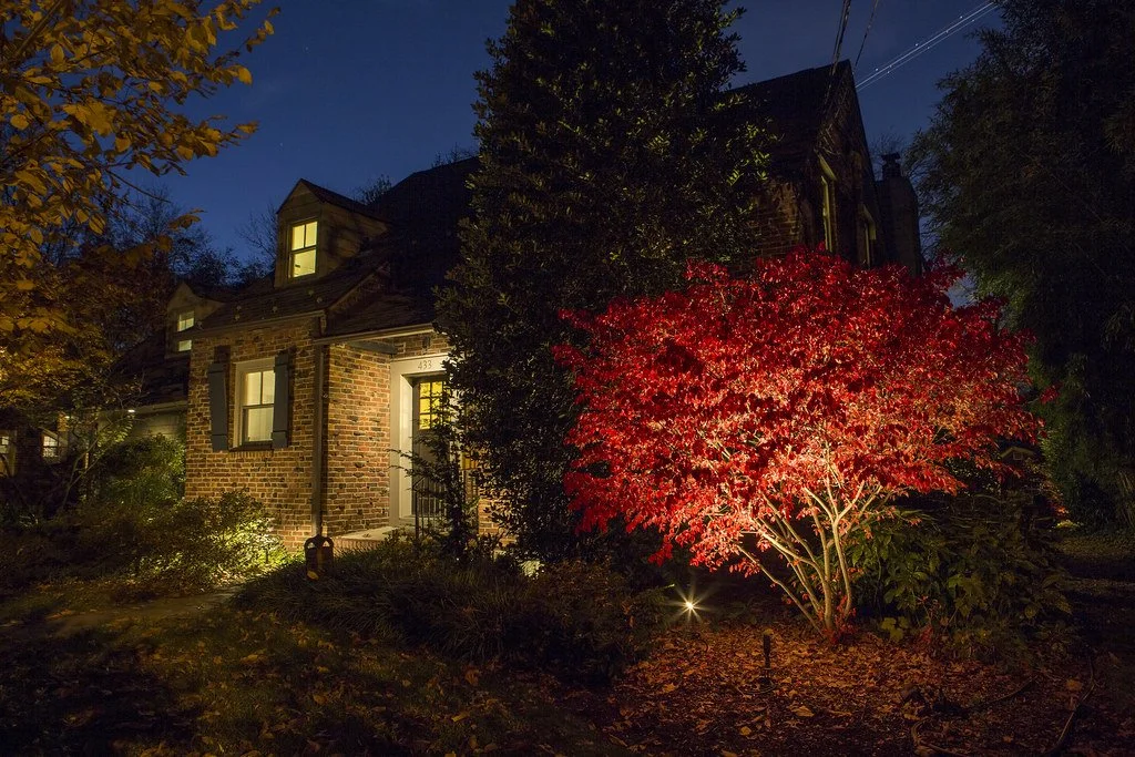 Coastal-Source_Outdoor-Lighting_Showcase_Autumn-Forest-Hideaway-5.jpeg
