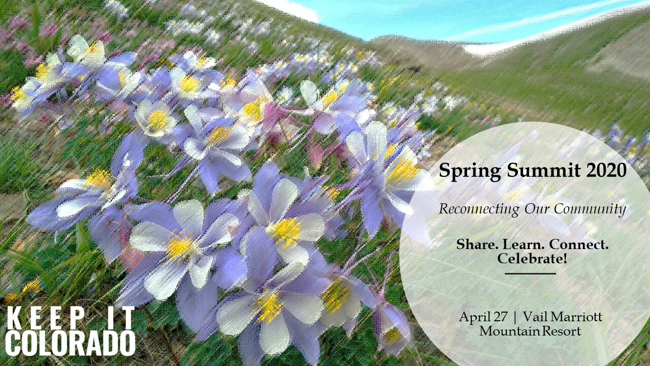 Get Ready for Spring Summit 2020