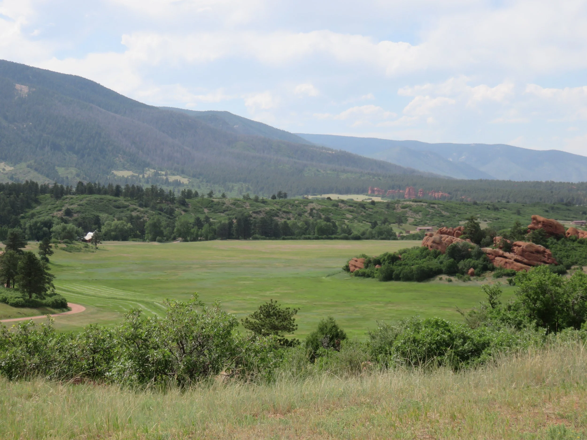 Virtual Panel Discussion: Land Trusts &amp; Public Agencies Working in Partnership for Conservation