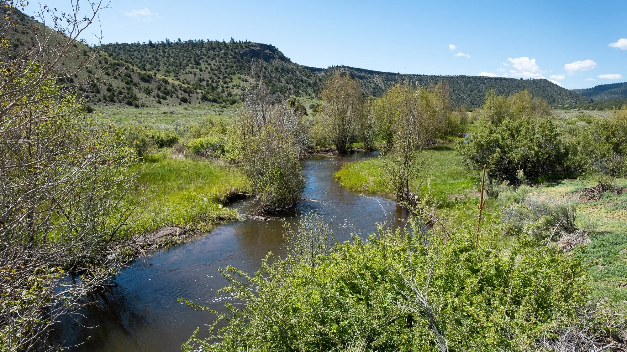 Transaction Cost Assistance Program — Keep It Colorado