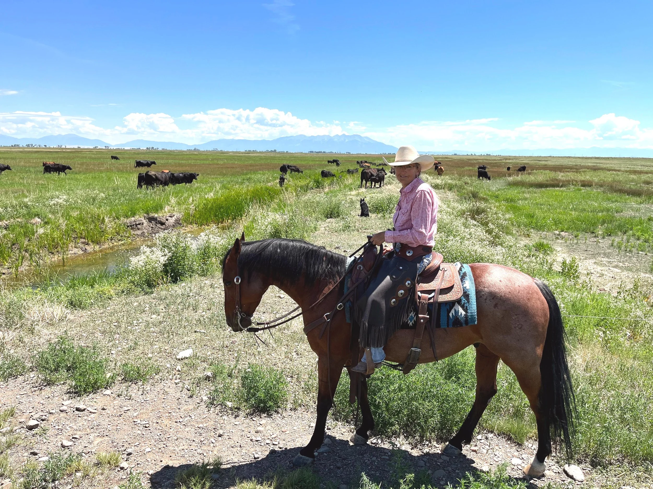 Reinvigorating Land through Conservation