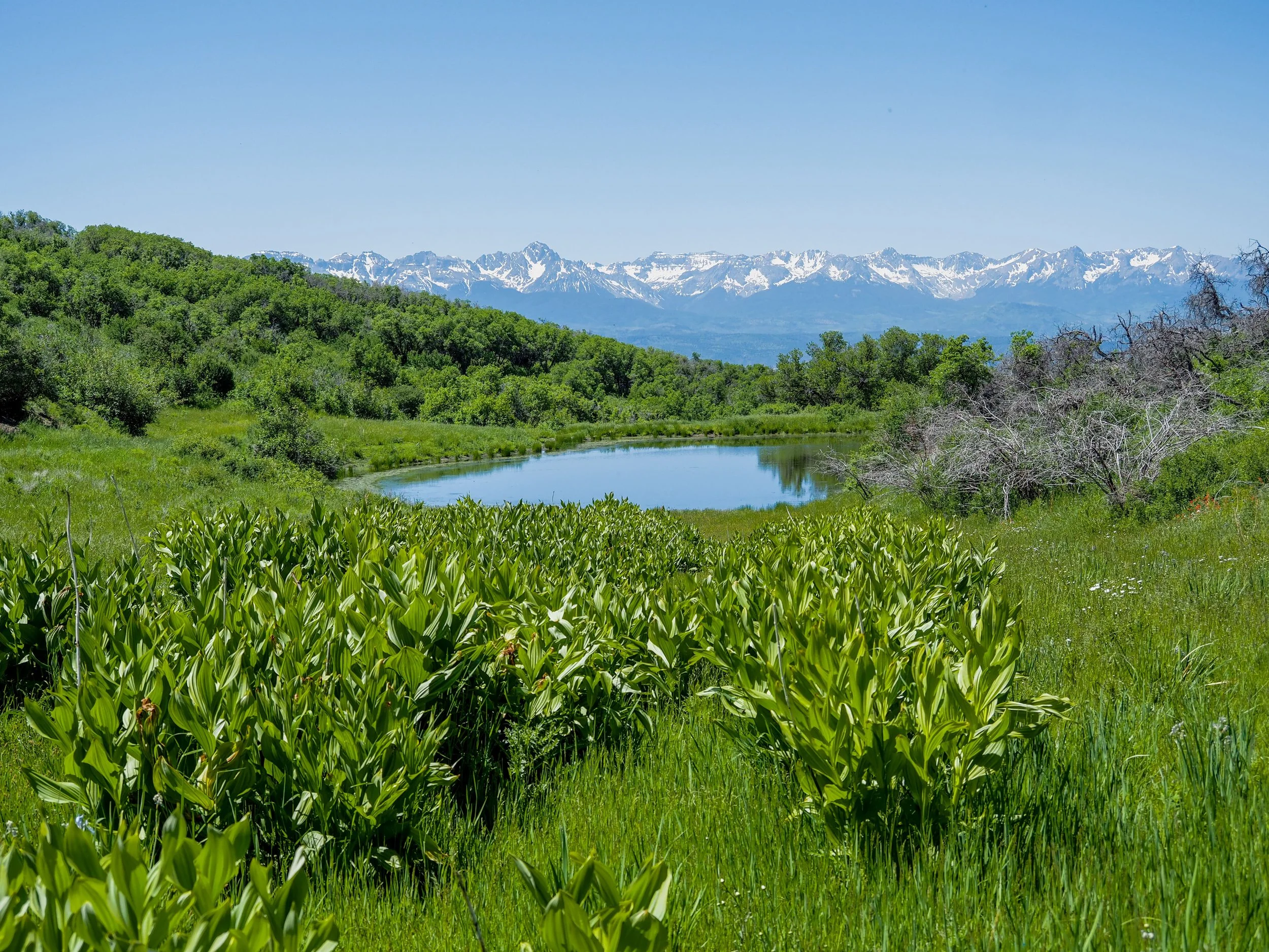 Over 7,000 Acres to be Conserved with Transaction Cost Grants 