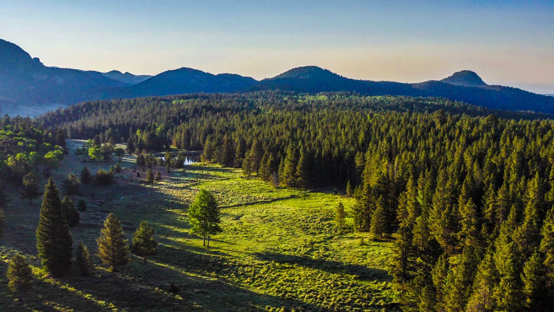 Local Land Trusts Net $450,000 in Grants to Advance Over 5,000 Acres of Conservation