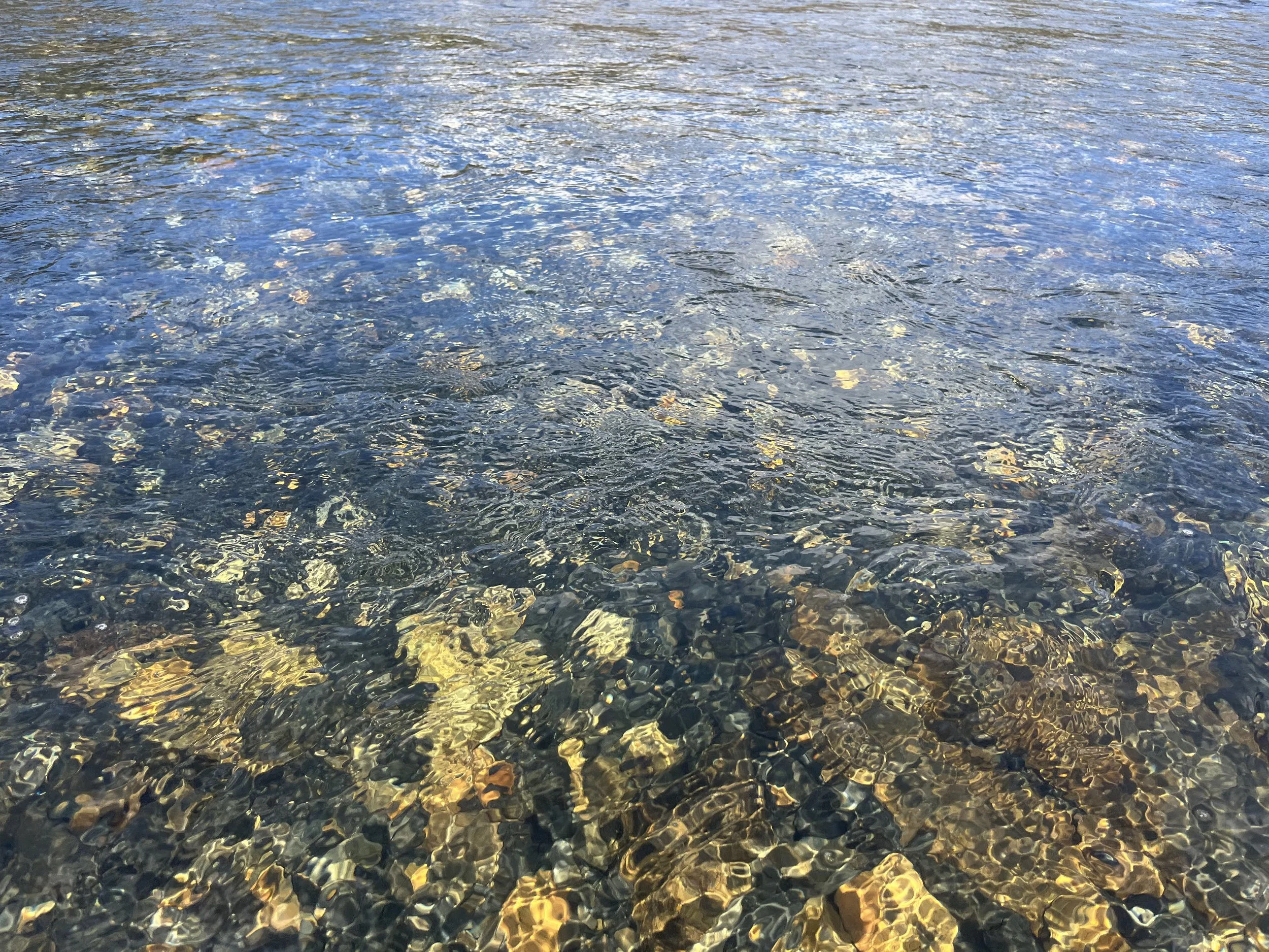 Summit2025-HG (20).jpeg