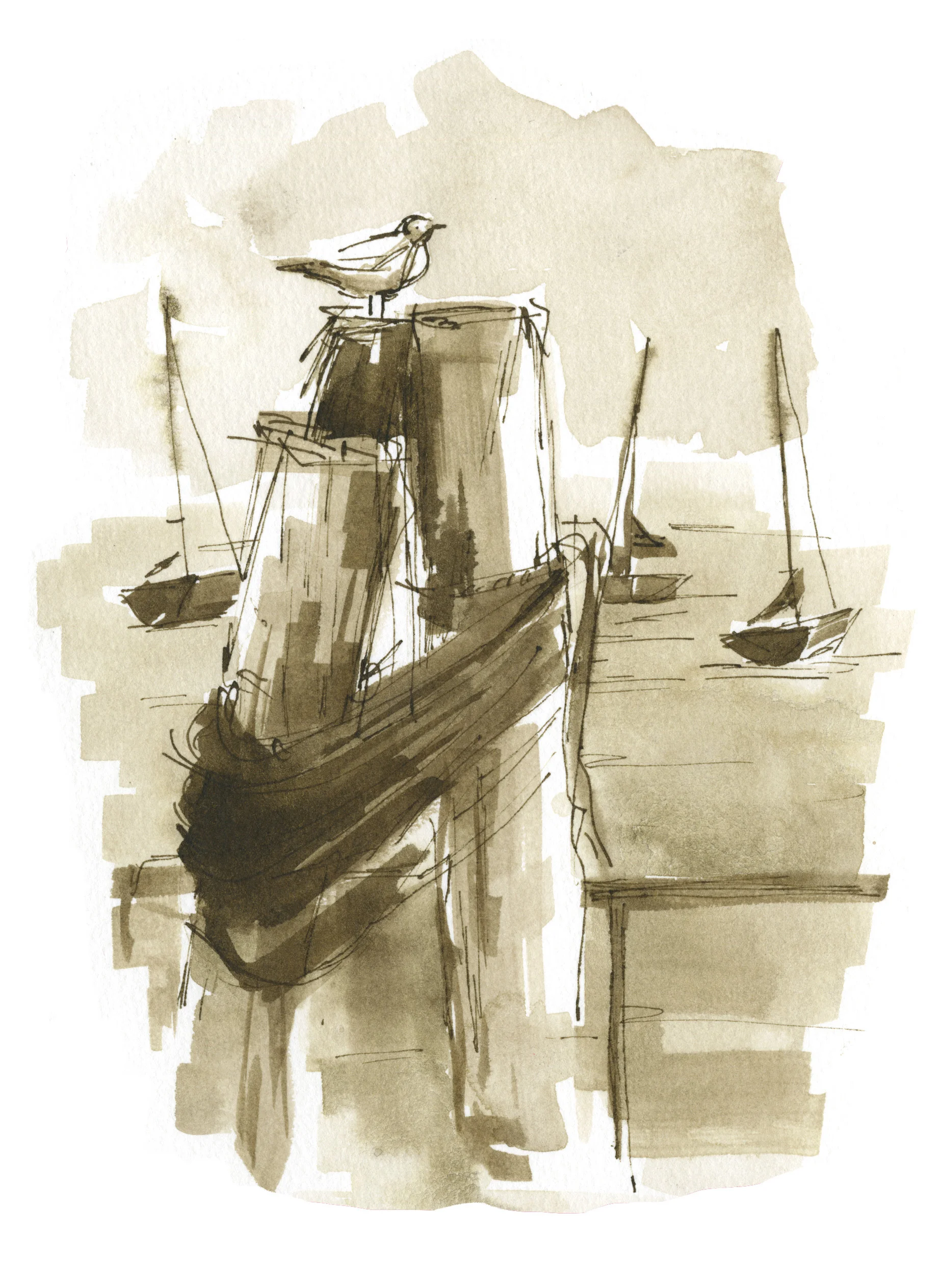 mantychasebostonharborgull.jpg