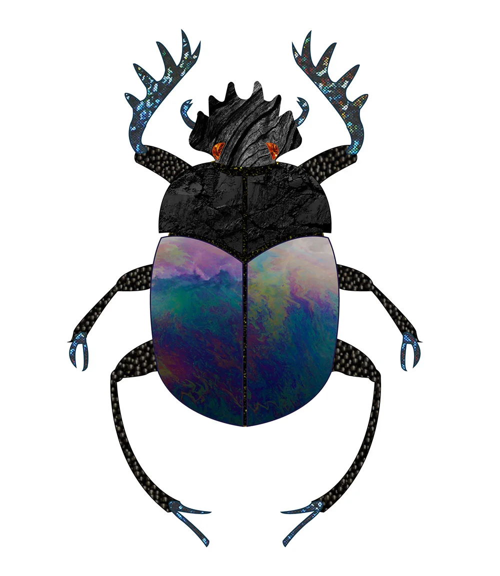 Beetle.jpg