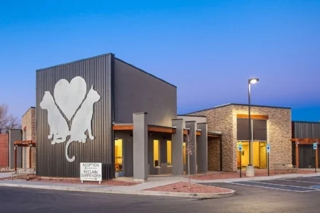 animal-shelter-design.jpg