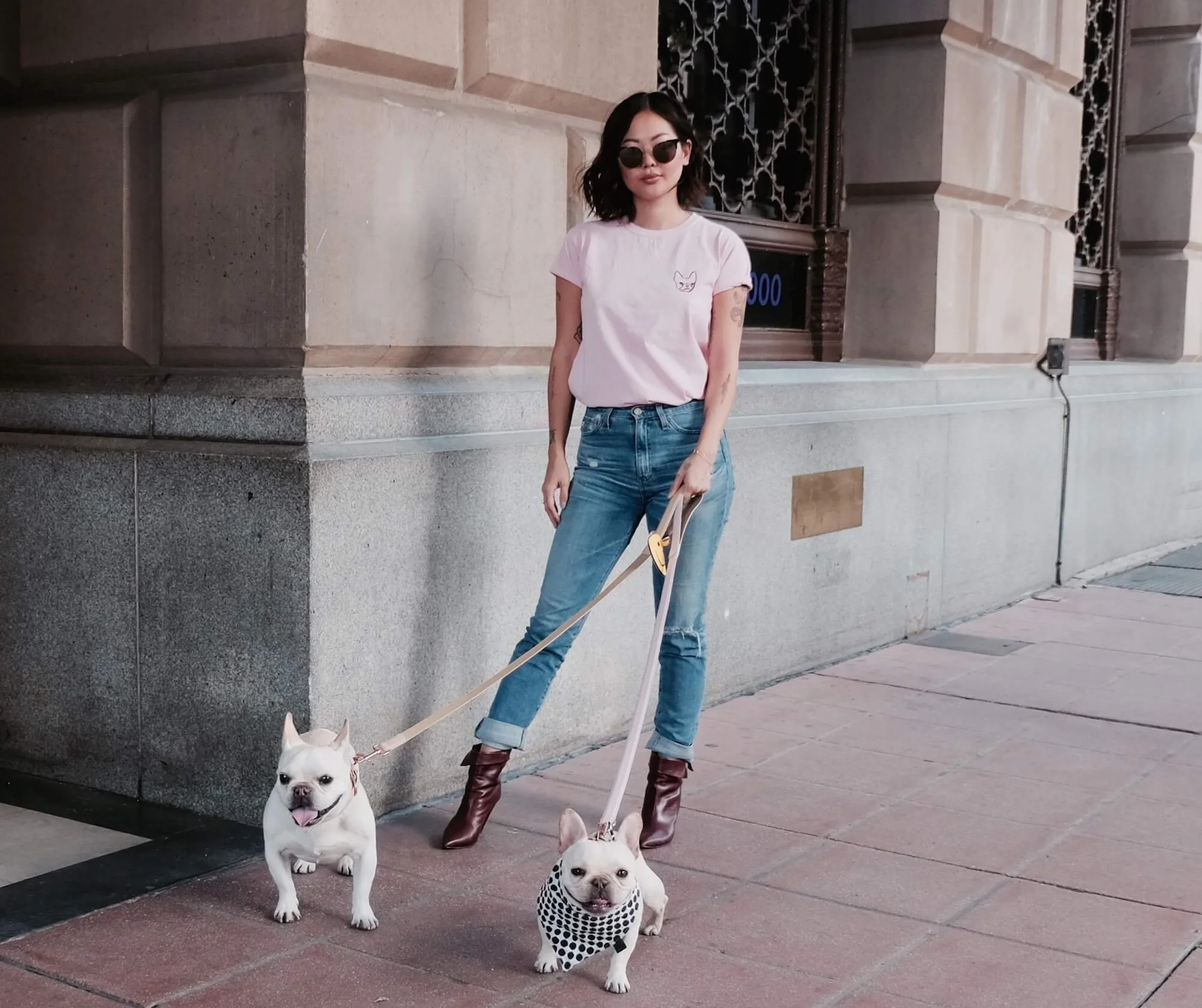 WHERE'S THE FRENCHIE