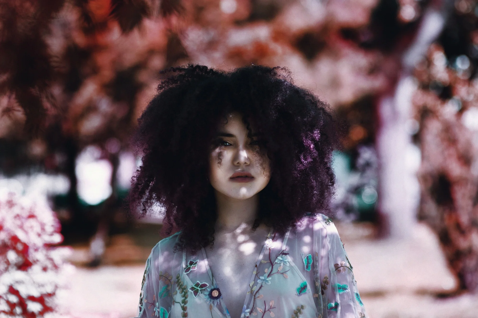 Photo by Tiko Giorgadze on Unsplash