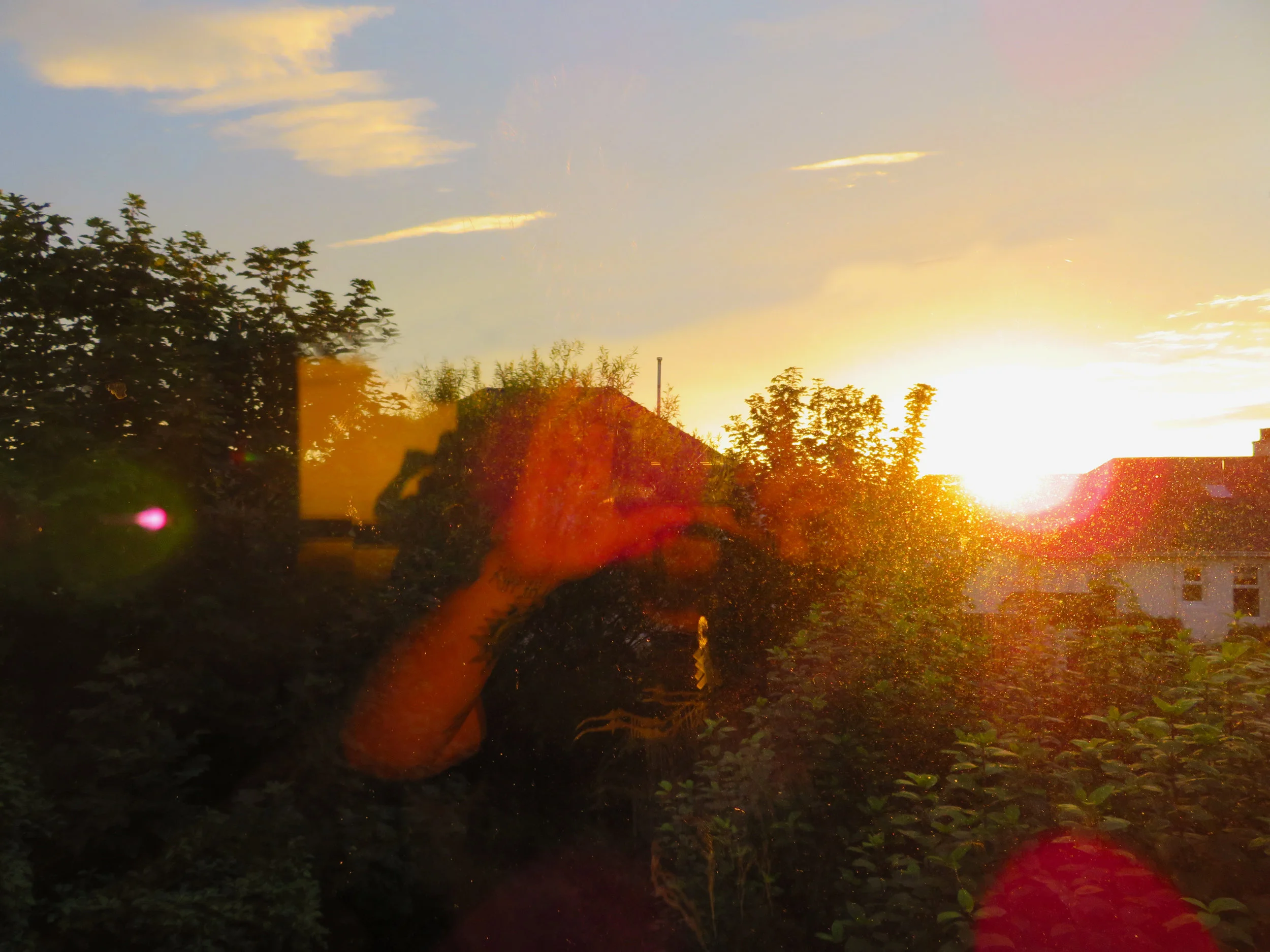 genericsunsetselfie.jpg