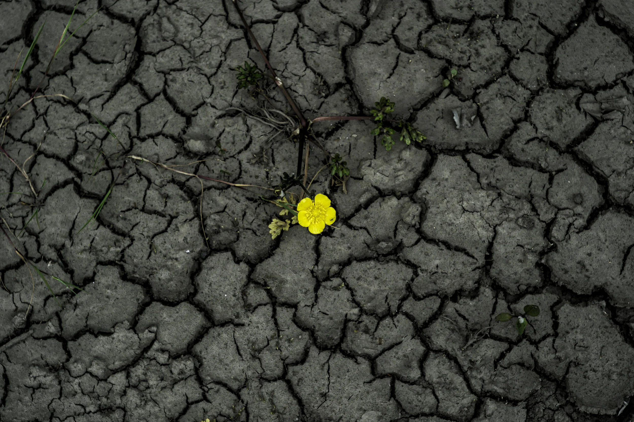 'Breaking Through'
