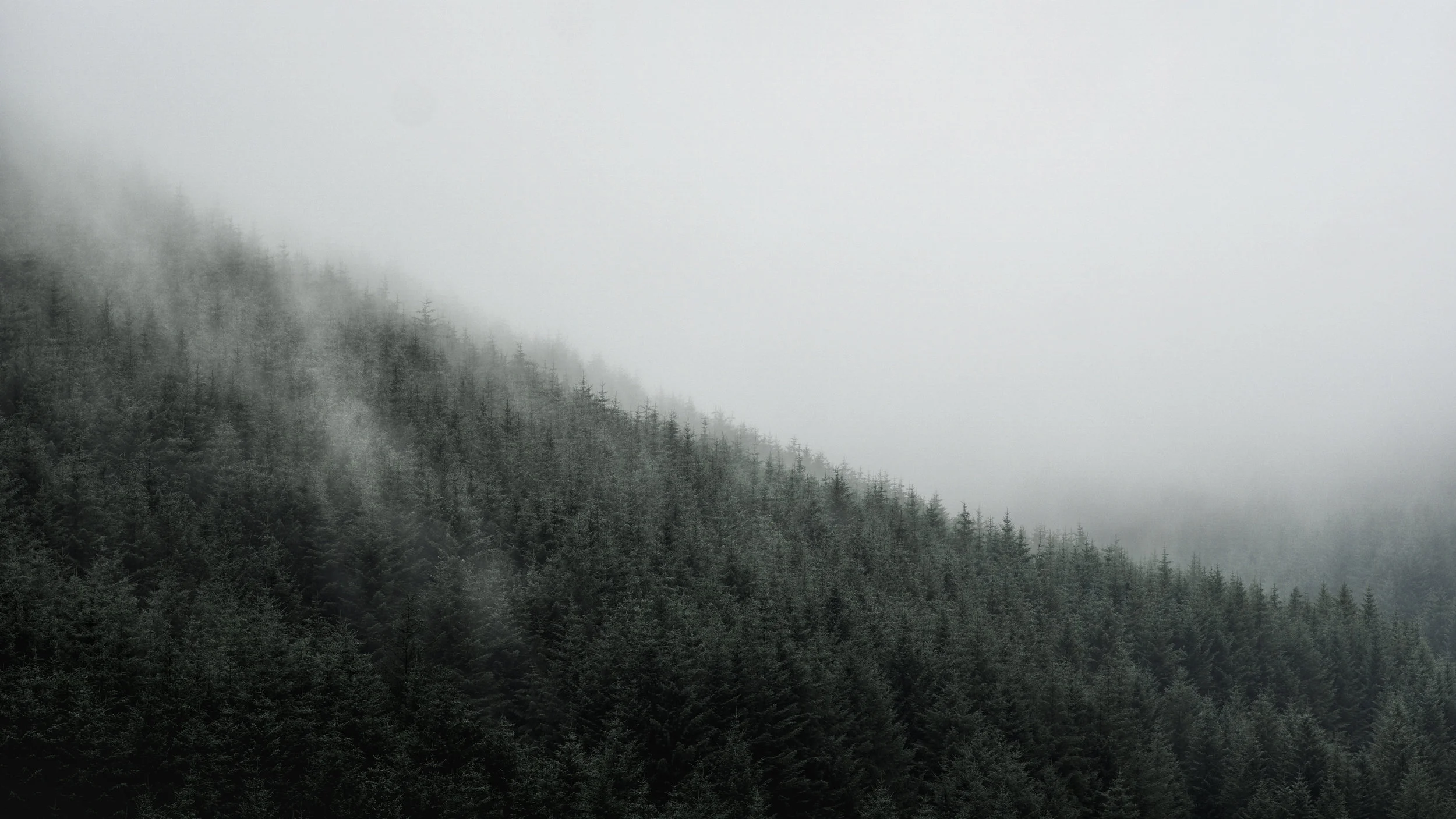 'Land of Fog; Monamore Glen'