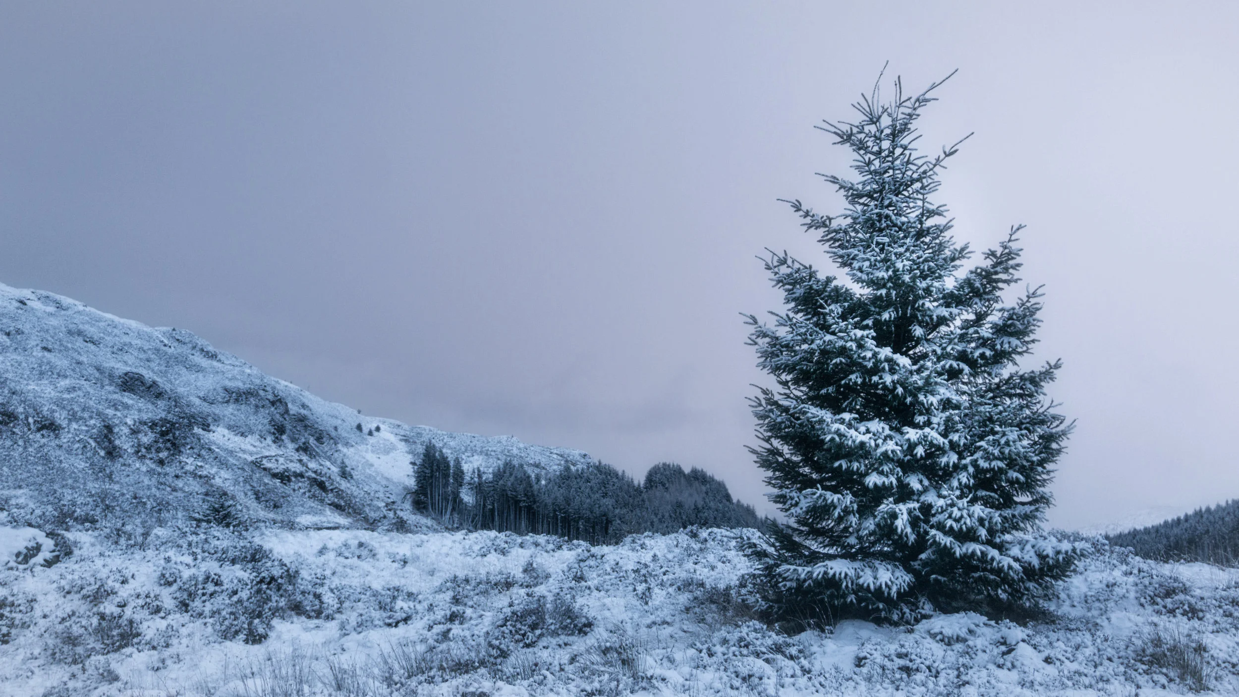 'A Light Dusting'