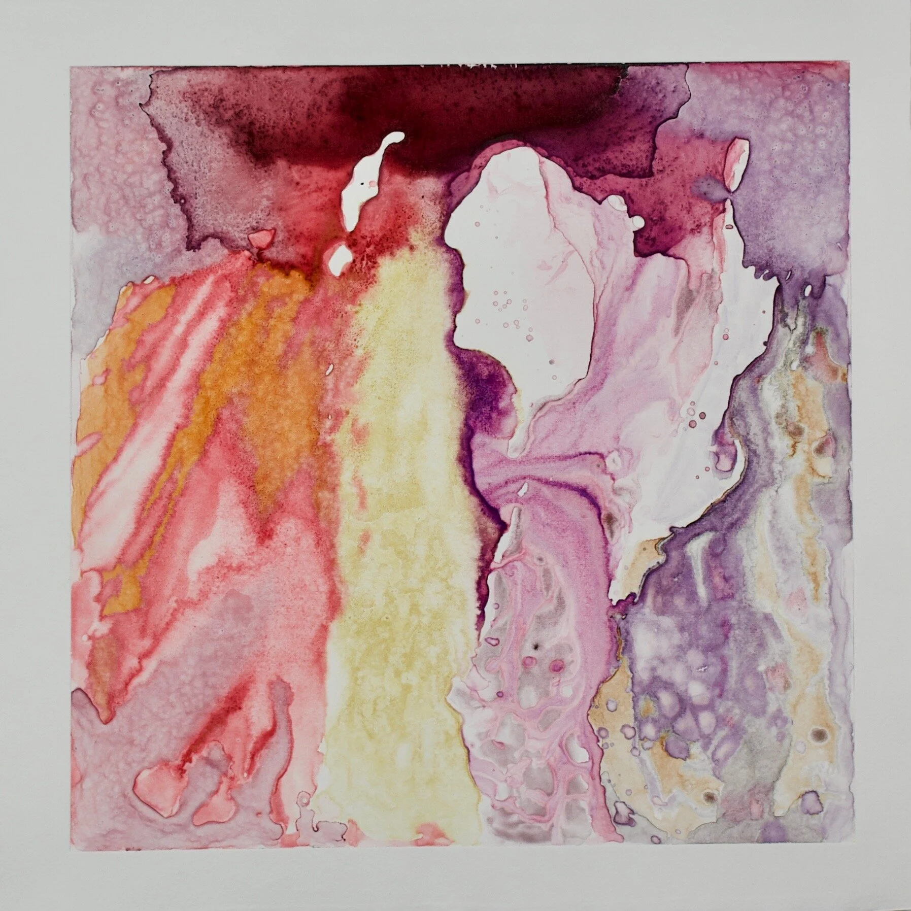Slide I  Natural Dyes on Cotton Rag Paper  15”x 15”