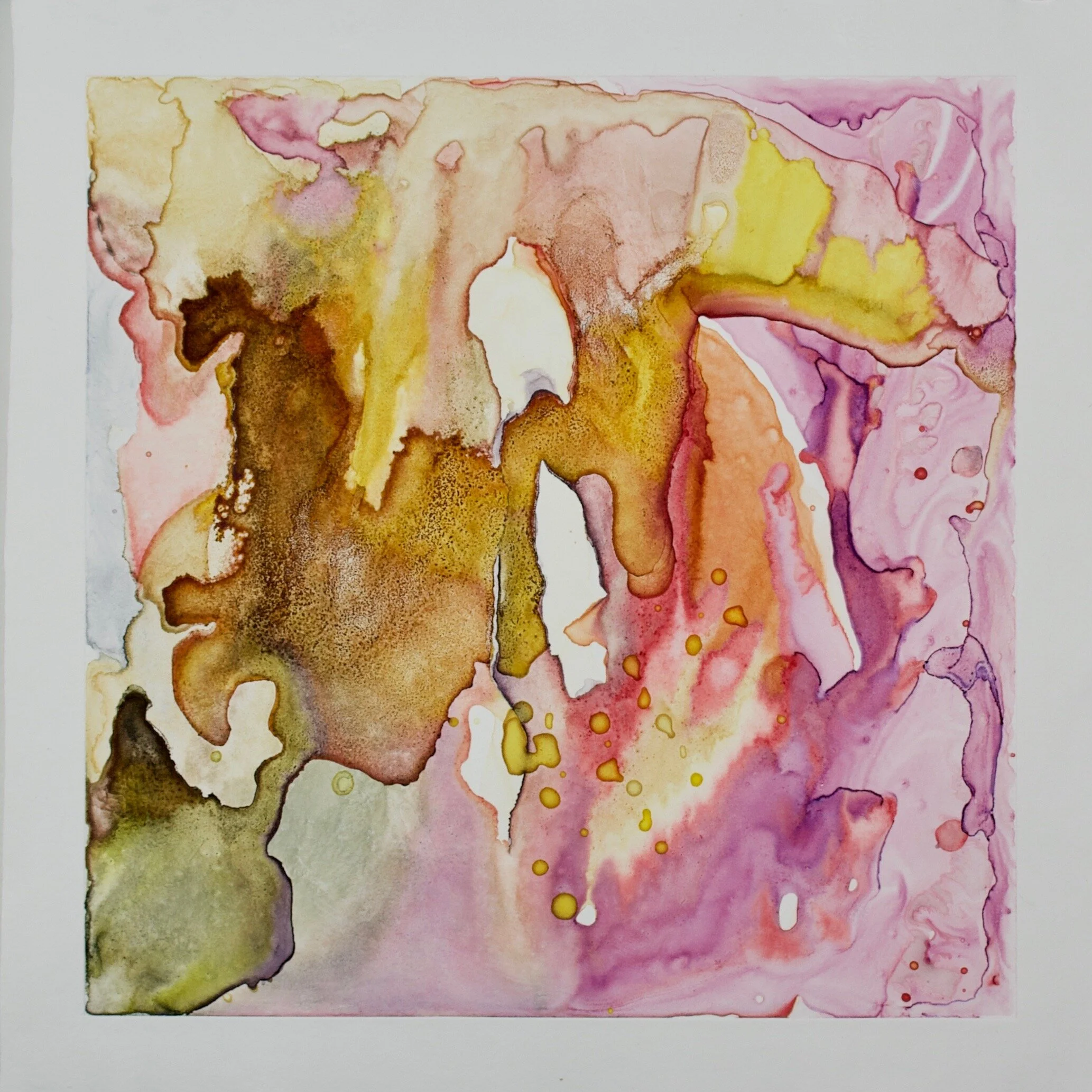 Slide II  Natural Dyes on Cotton Rag Paper  15”x 15”