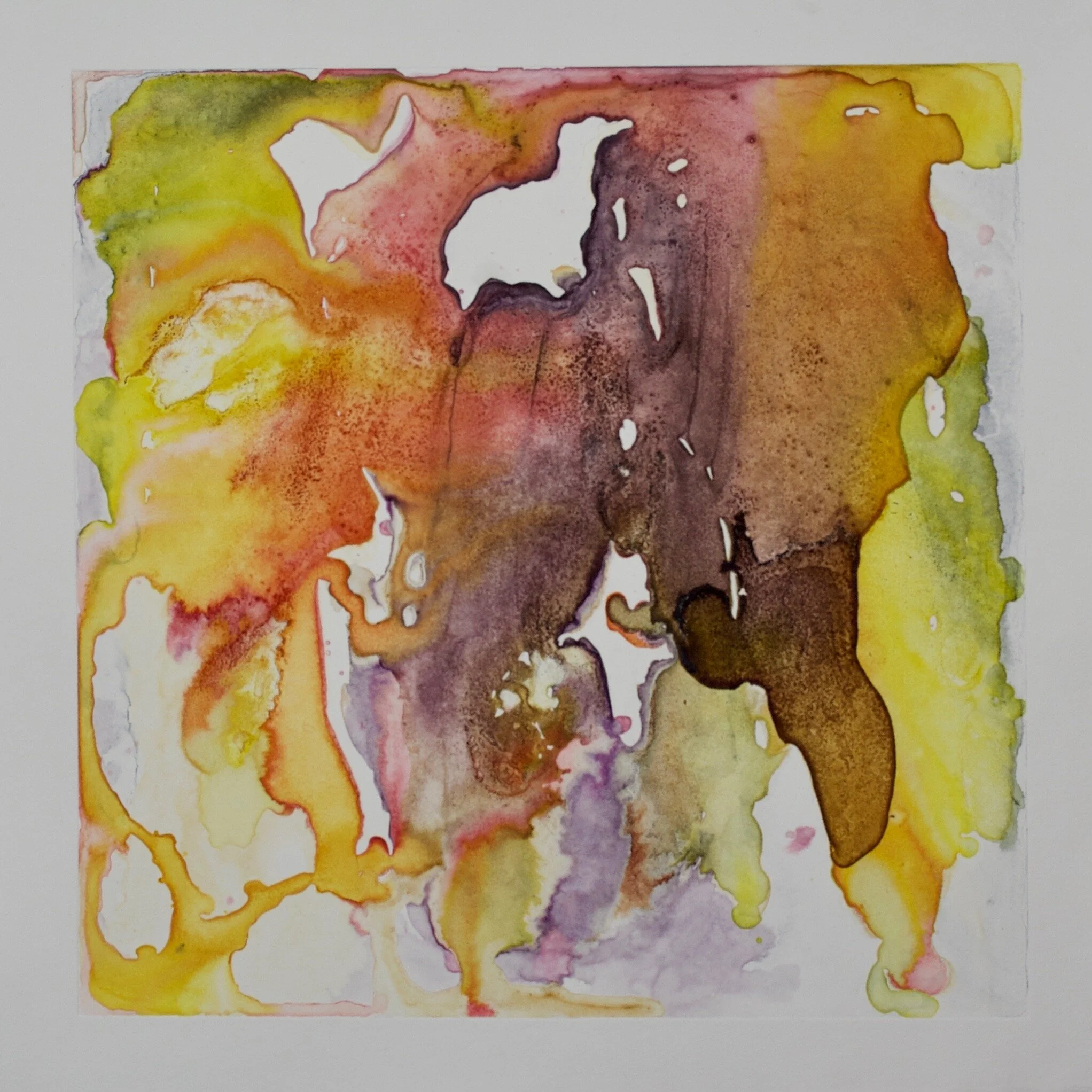 Slide III  Natural Dyes on Cotton Rag Paper  15”x 15”