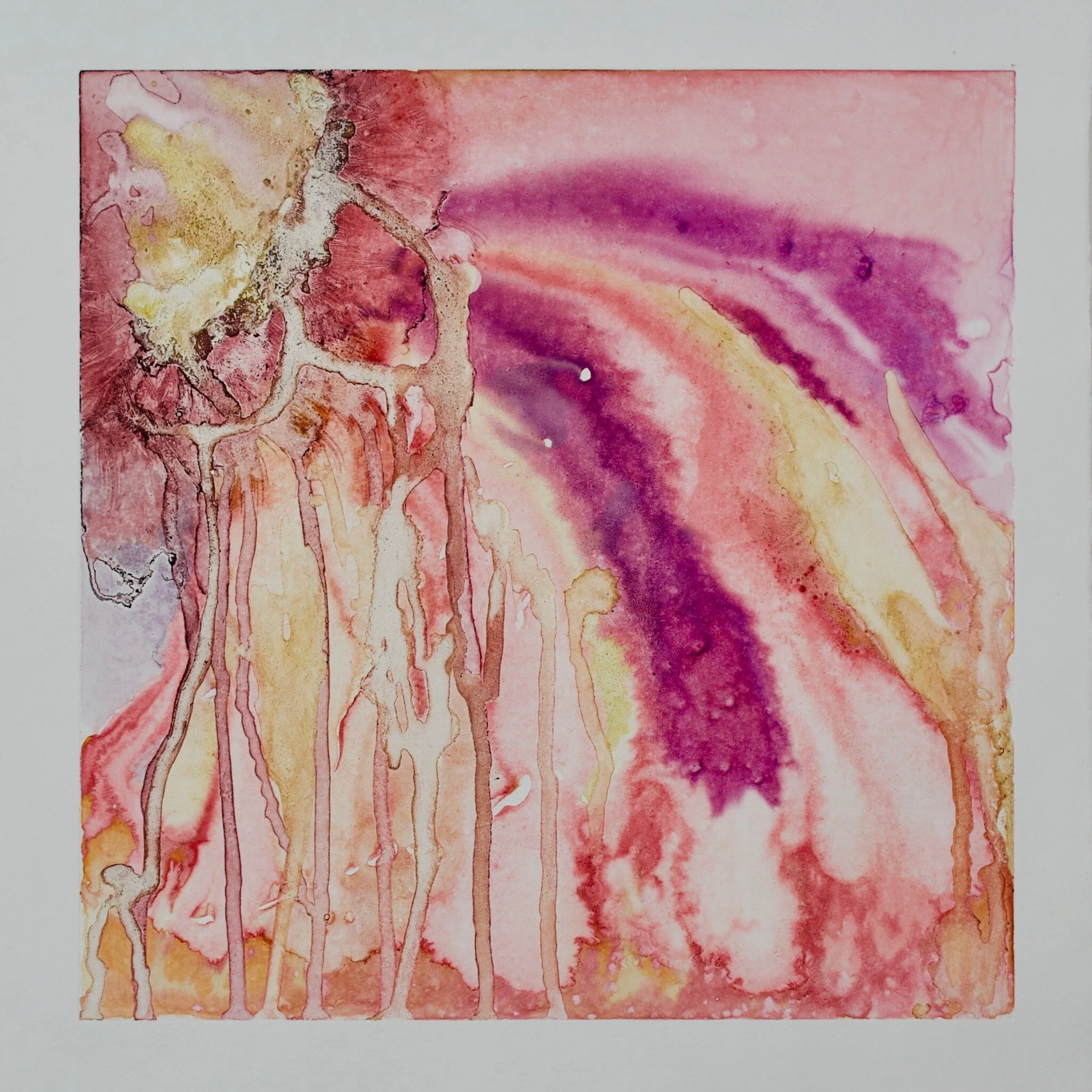 Slide VI  Natural Dyes on Cotton Rag Paper  15”x 15”