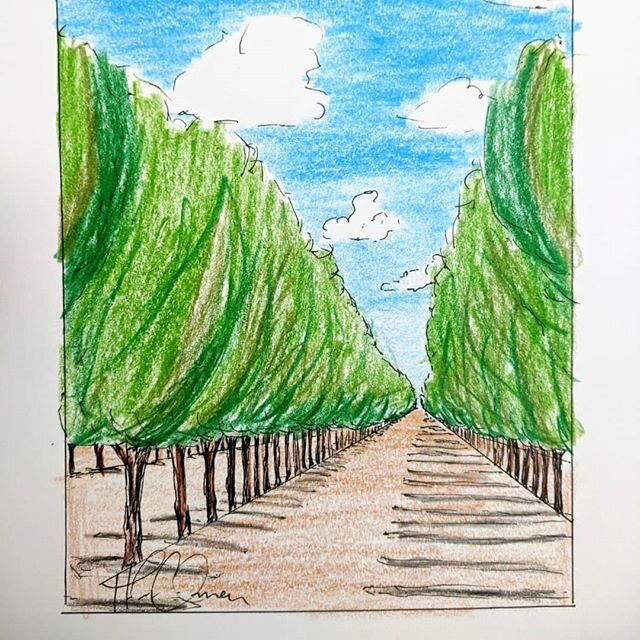 Another sketch I am admiring from last yr. Would still love to see this one painted on a 4' x 6' canvas 💚 🙌 .
.
.

#californialandscape #californiaart #orchardlandscape #orchardart #agriculturallandscape #agnerd #agartist #agart #treerows #prettypa