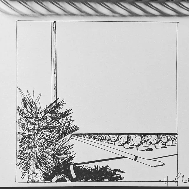 Another sketch -- .

Crazy about this one. .

#orchardlandscape #orchardsketch #inkonpaper #californialandscape #californiaart #californiaorchard #pistachioorchard #sharpiepen #shadowplay #perspective #thefarmerswifefineart #haleycoleman #lovewhatyou