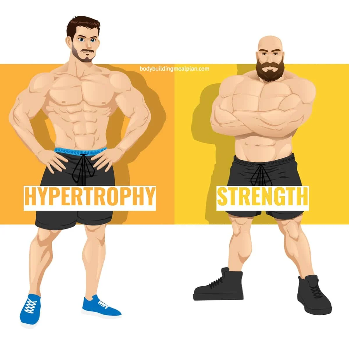 Hypertrophy vs Strength Training