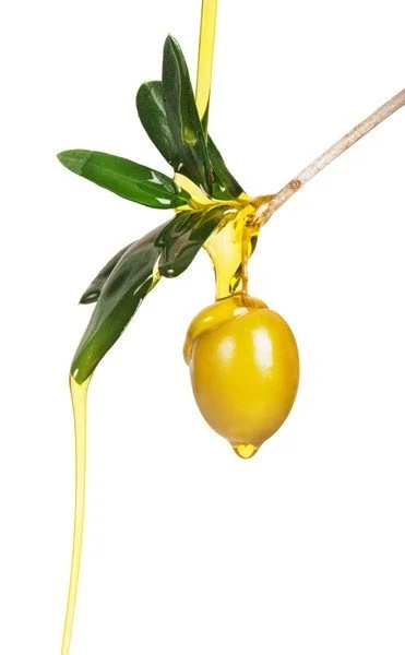 Let's Discuss Polyphenols