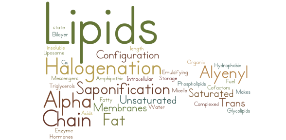 lipids.png
